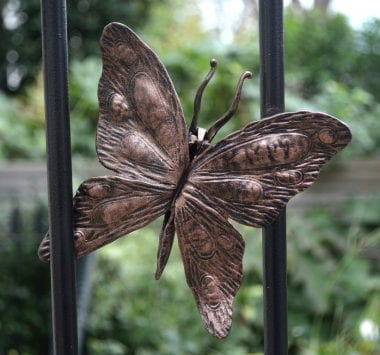 Butterfly Detail