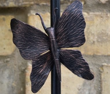 butterfly Detail